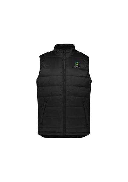 Picture of Mens Alpine Vest